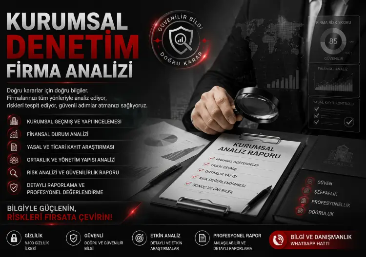 Kurumsal Denetim ve Firma Analizi